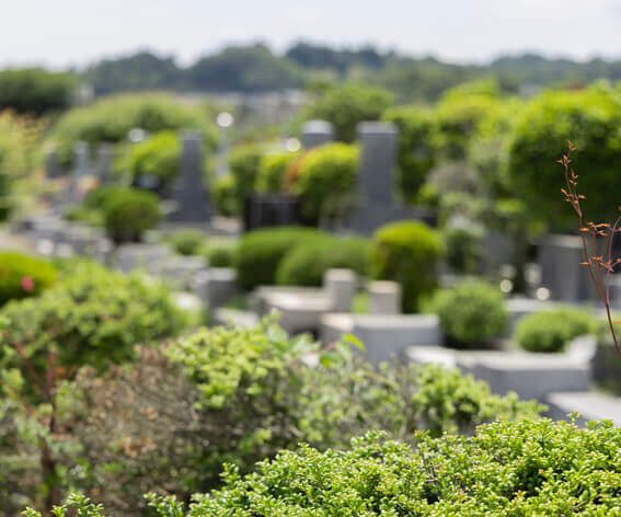 ご遺骨のゆくえ～埋葬・収骨と散骨