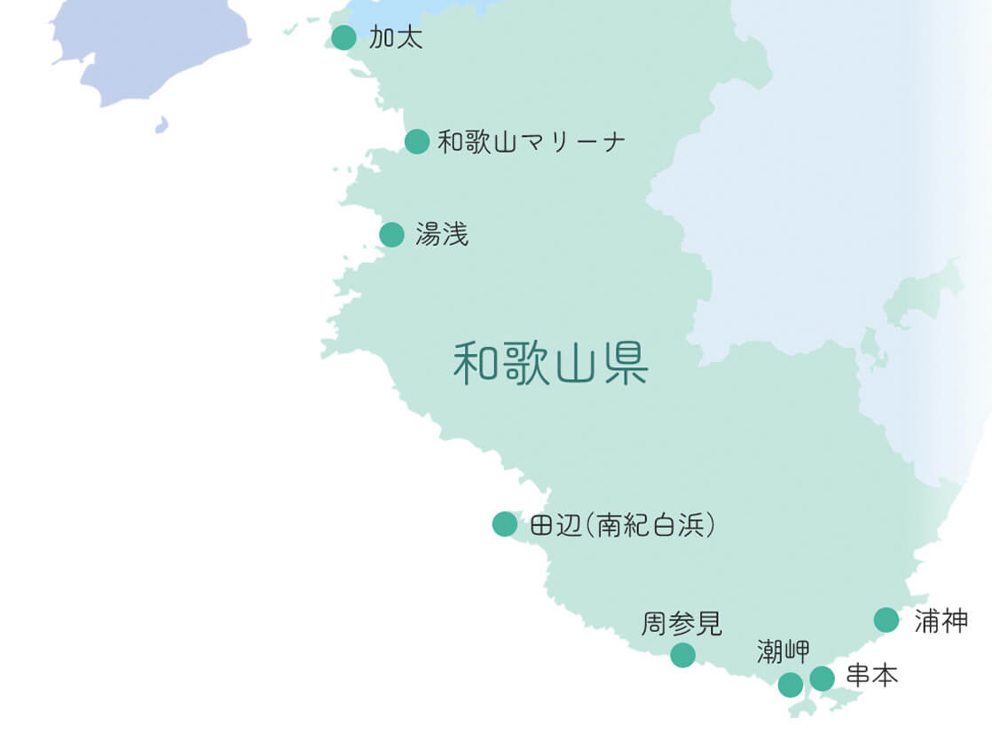 海洋散骨を和歌山海域で