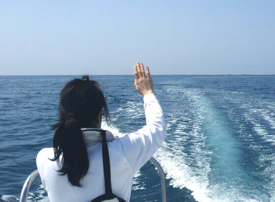 海洋散骨海域を旋回