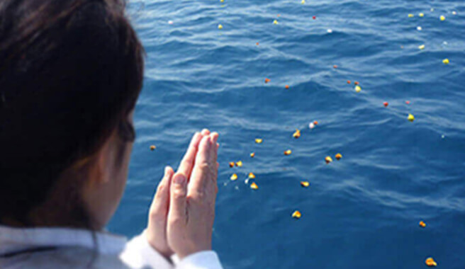 和歌山で海洋散骨当時