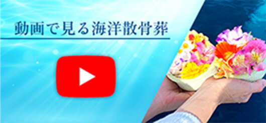 動画で見る海洋散骨
