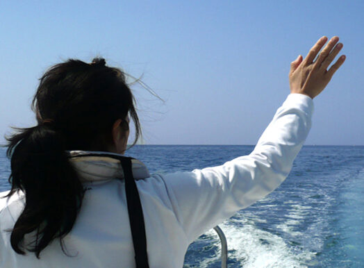南紀白浜（田辺）　代行委託散骨