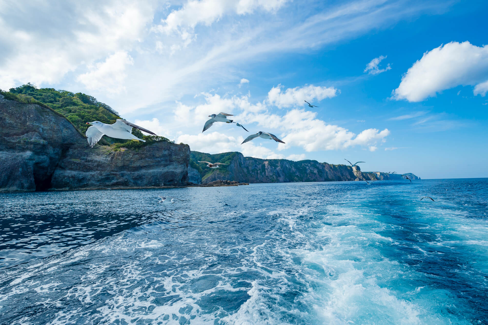 遺骨を海にまくにはどうする？正しい手順や注意点について