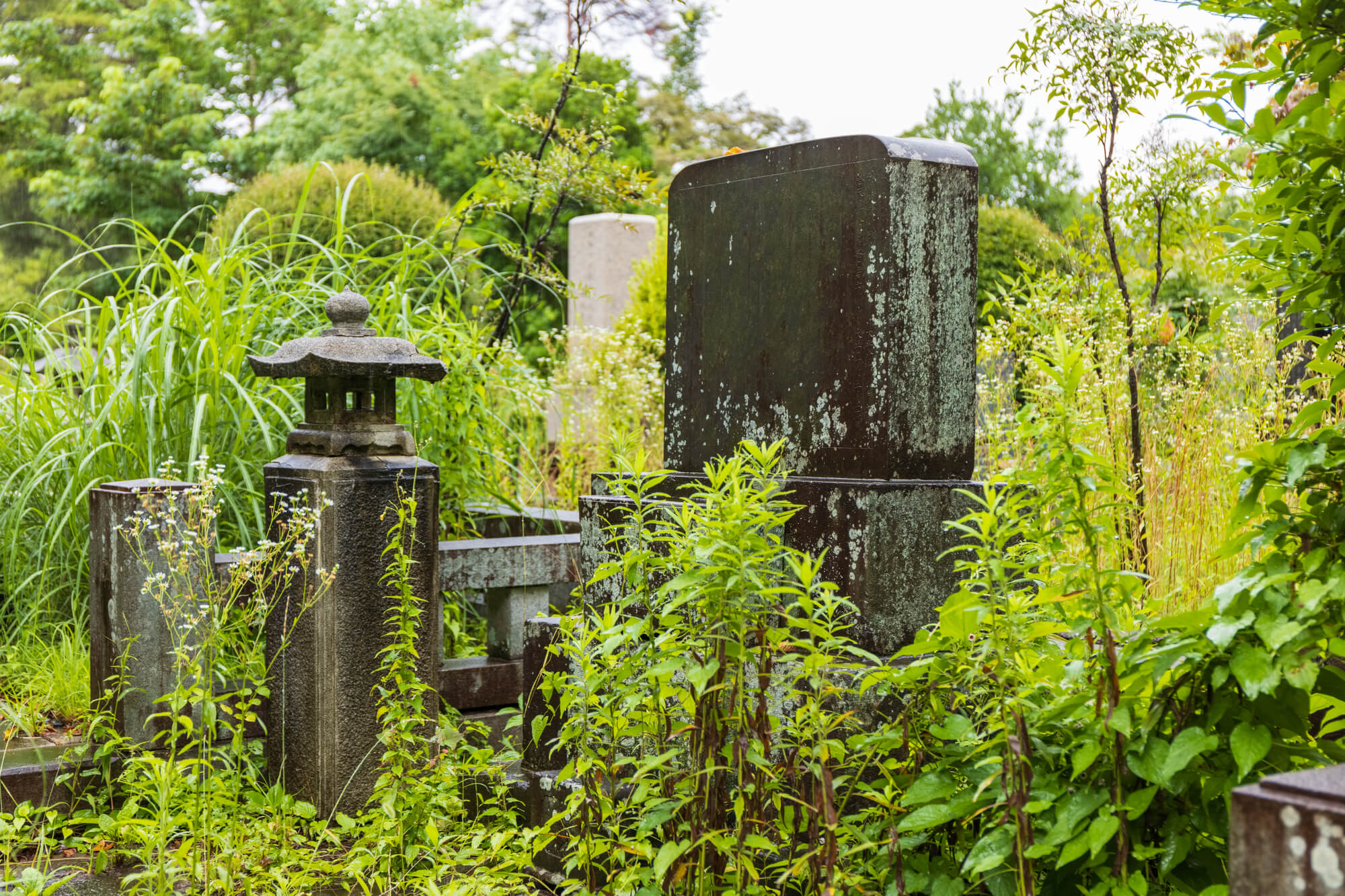 無縁仏がもたらす、故人と遺族への「無縁」デメリット