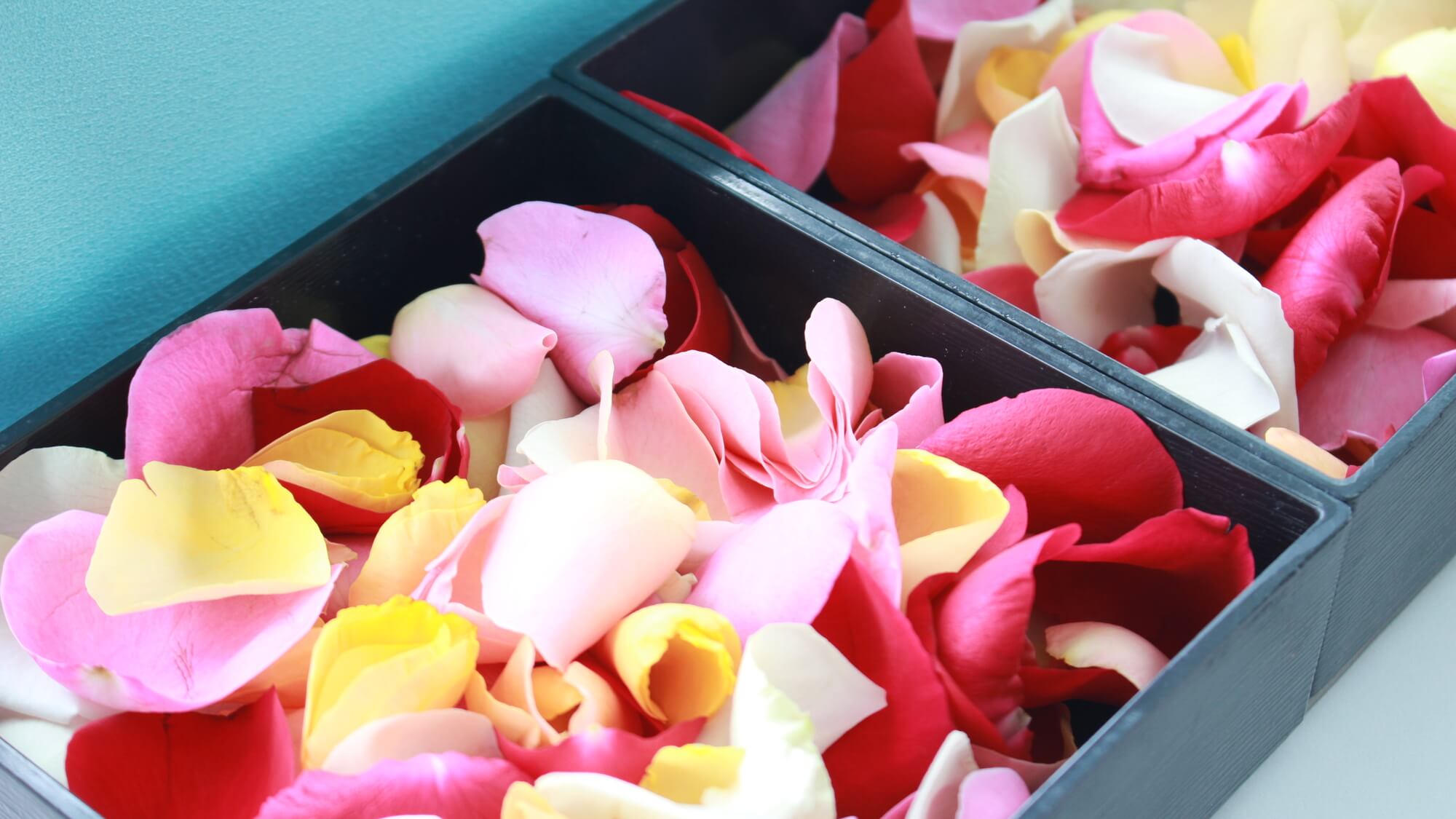 海洋散骨の事前準備