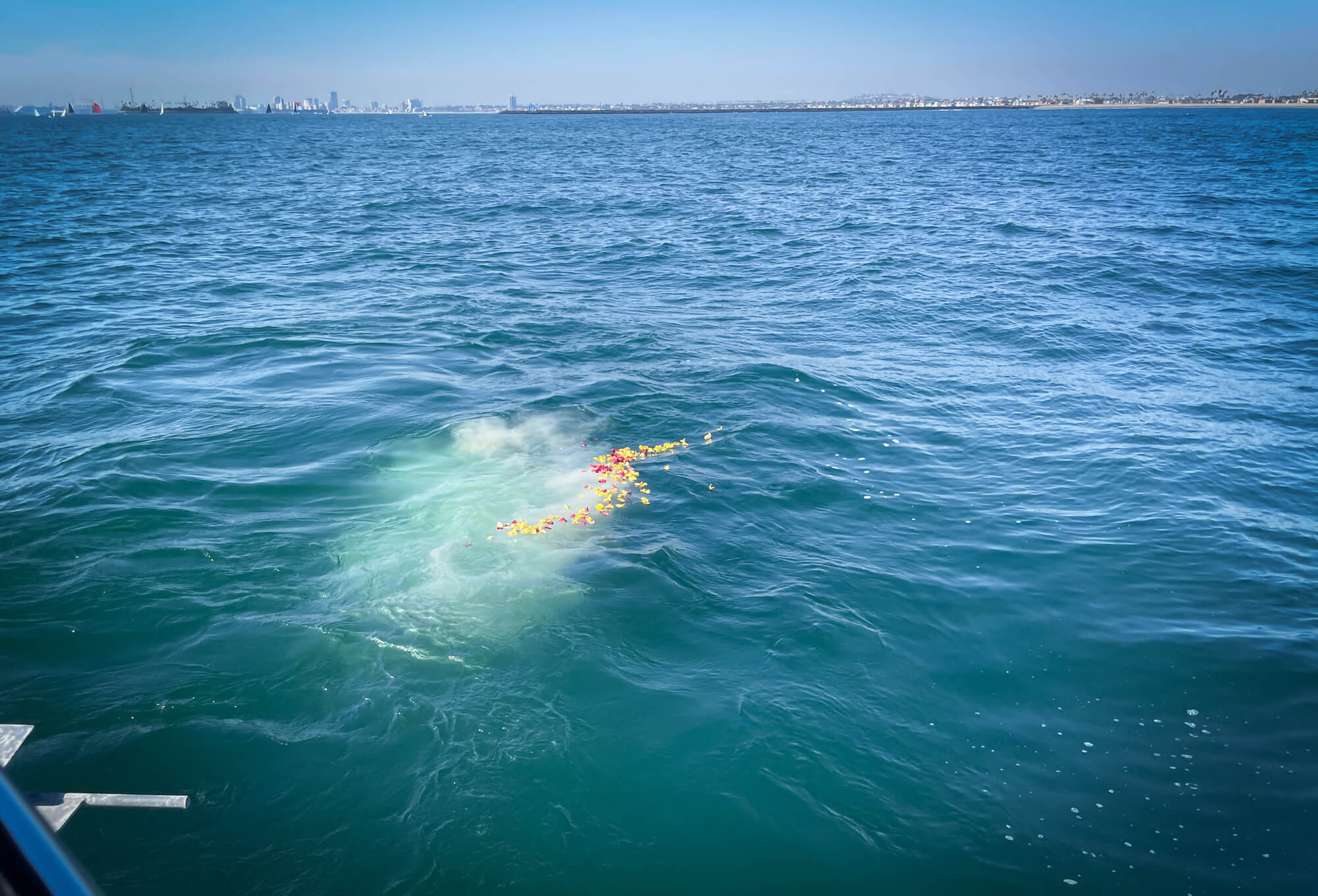 海洋散骨の当日の流れ