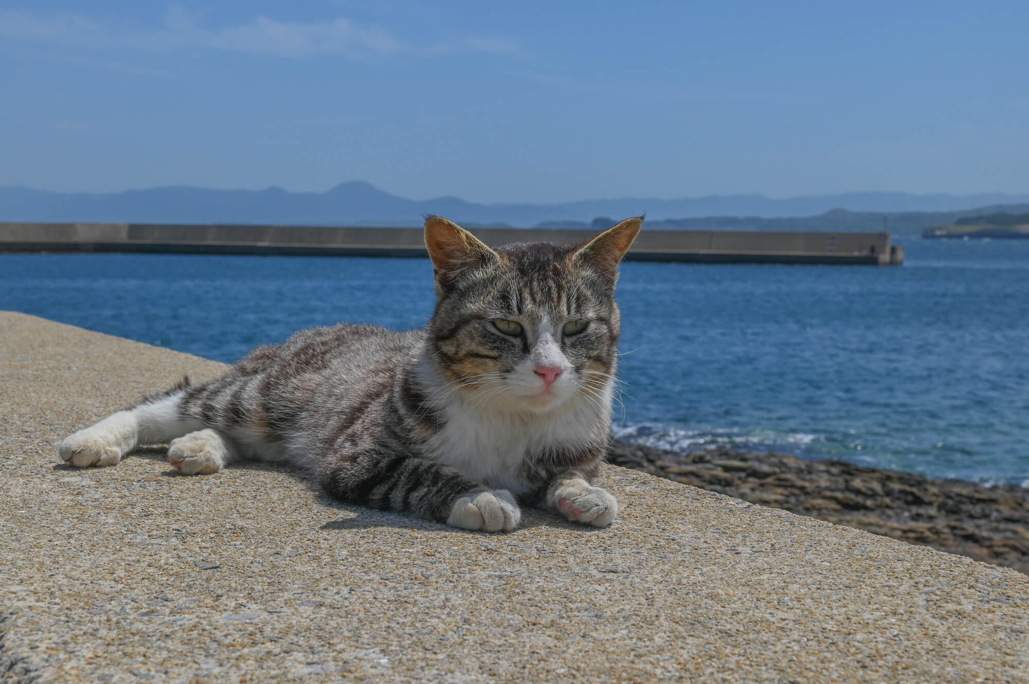 海洋散骨がおすすめの人の特徴