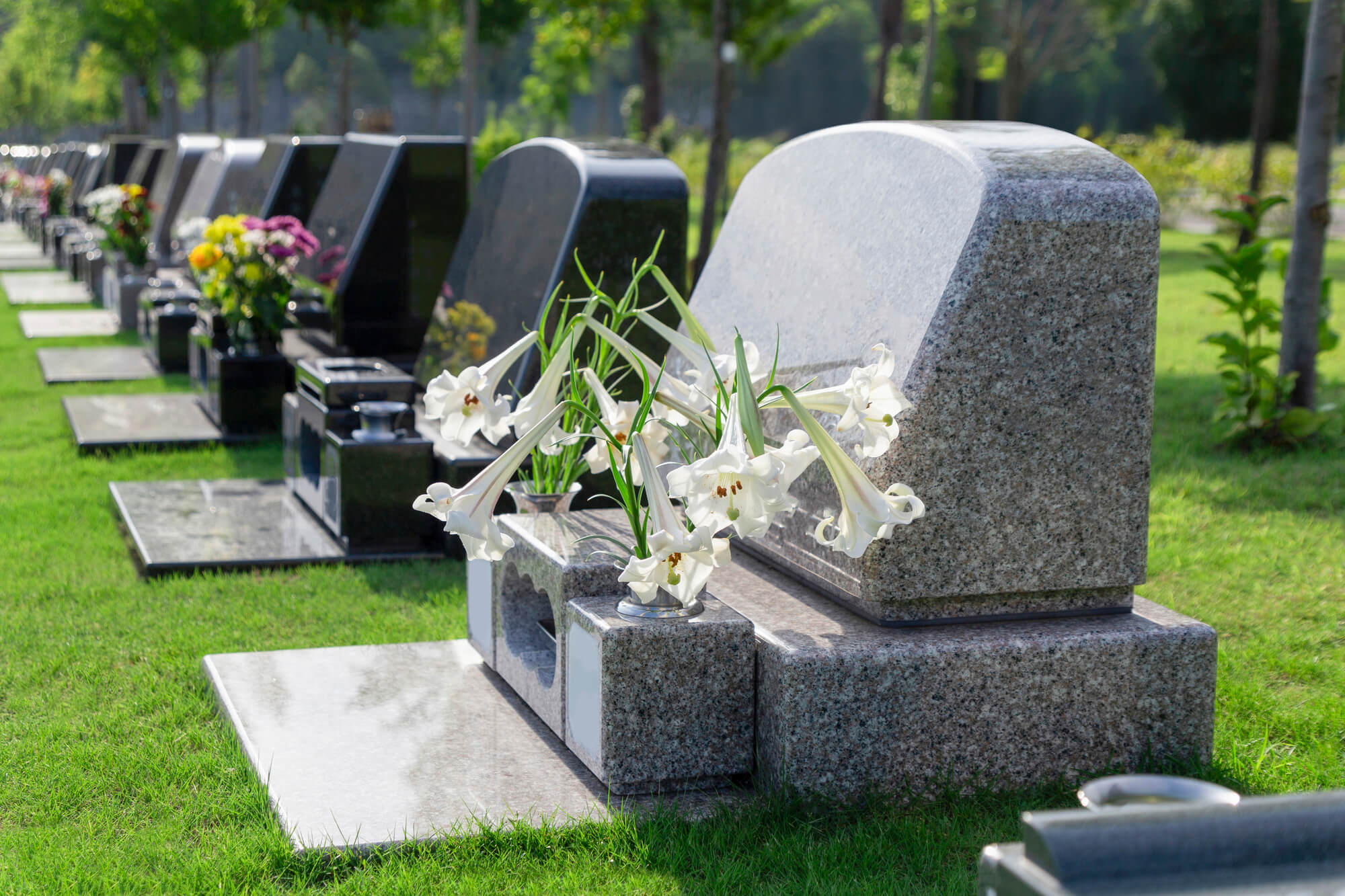 さまざまな意見がある中でお墓を持たない選択が増えている理由