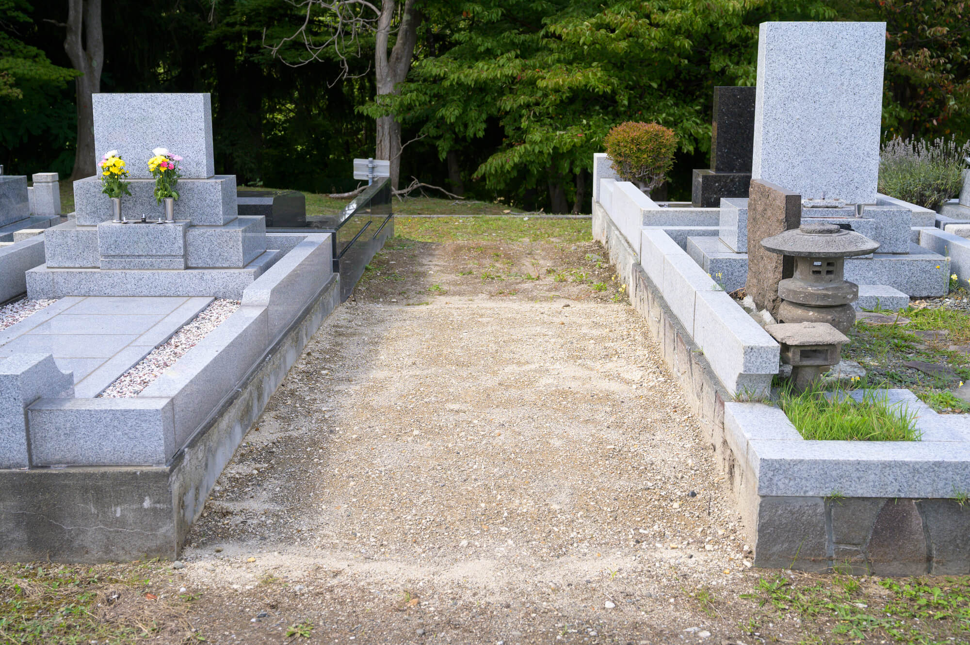 なぜ今、墓じまいや改葬が増えているのか?