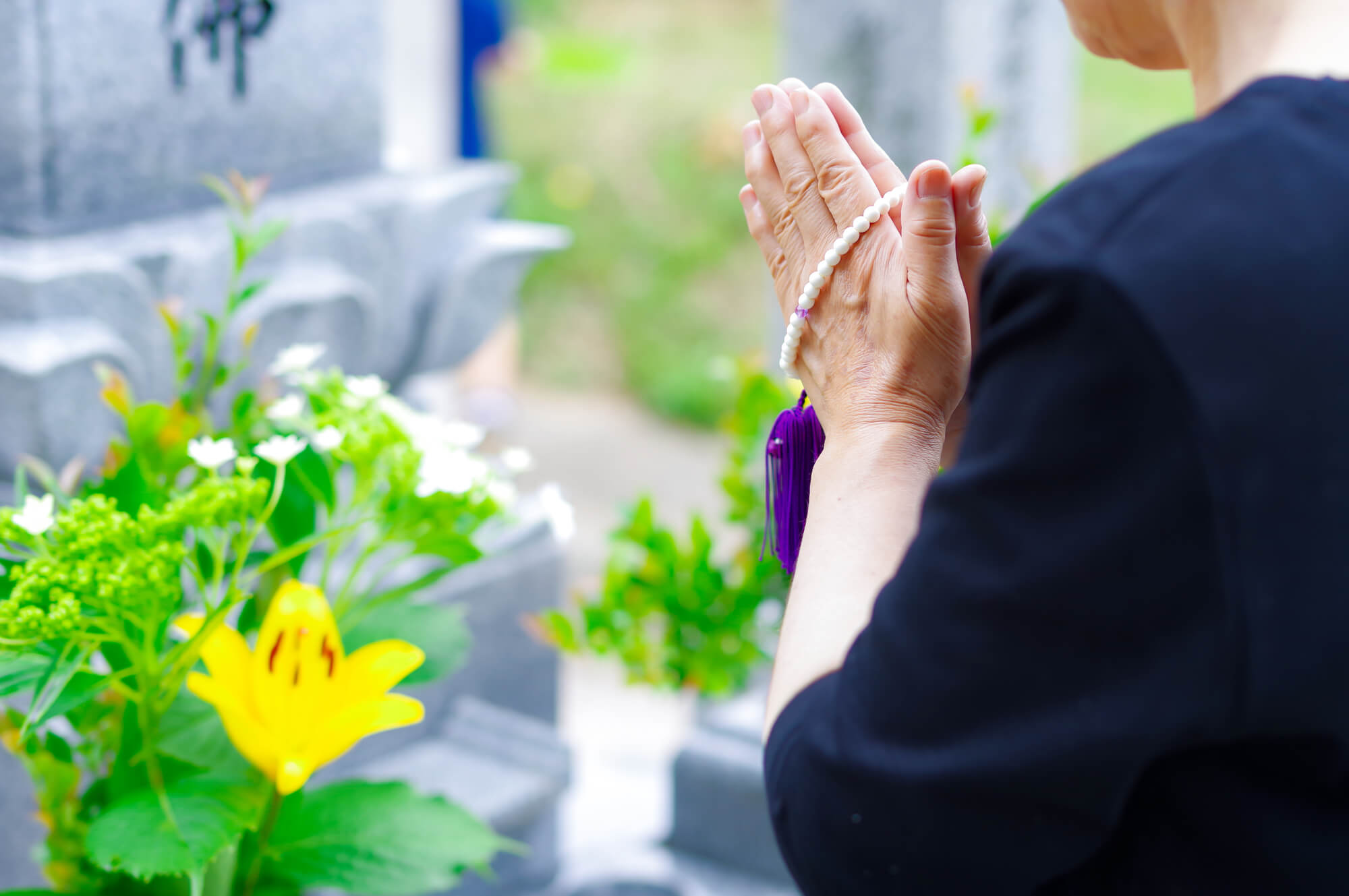 散骨した場合にお墓参りは必要?基本的な考え方